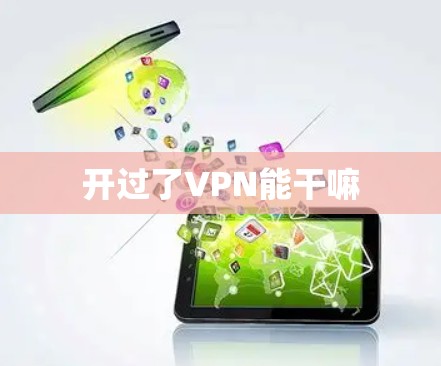 开过了VPN能干嘛