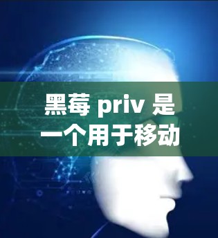 黑莓 priv 是一个用于移动应用的工具，主要用于管理数据和文件传输。它本身并不是一种VPN。如果你想使用黑莓 priv，通常可以通过以下方式