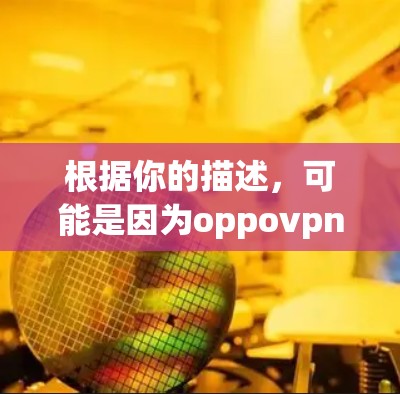 根据你的描述，可能是因为oppovpn软件不能用，以下是一些可能的解决步骤