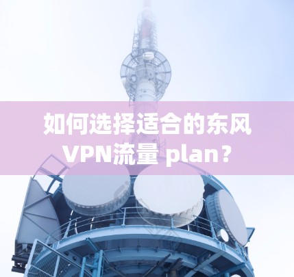 如何选择适合的东风VPN流量 plan？