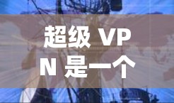 超级 VPN 是一个提供多种VPN功能的免费软件应用，适合个人用户。以下是使用超级 VPN 在手机上的详细步骤