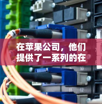 在苹果公司，他们提供了一系列的在线服务和功能，其中一些是用于加密通信和数据安全的工具。如果您的问题是指苹果VPN，可能指的是以下几种情况