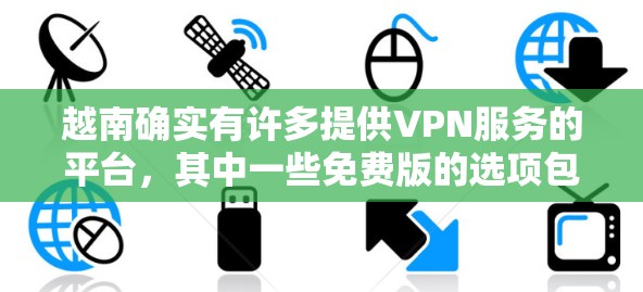 越南确实有许多提供VPN服务的平台，其中一些免费版的选项包括