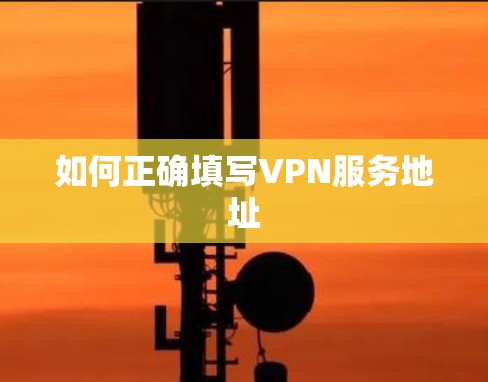 如何正确填写VPN服务地址