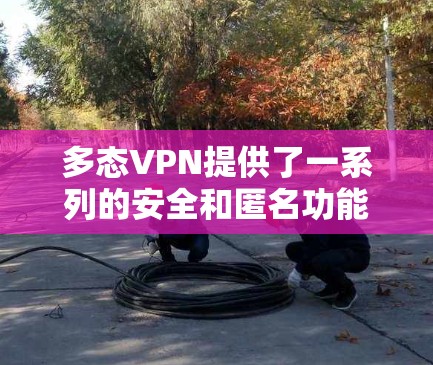 多态VPN提供了一系列的安全和匿名功能，包括远程ID设置，以保护用户隐私。以下是多态VPN支持的远程ID功能的详细设置
