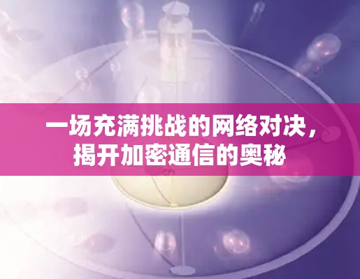 一场充满挑战的网络对决，揭开加密通信的奥秘