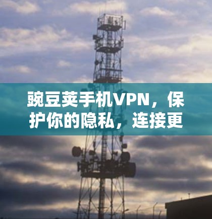 豌豆荚手机VPN，保护你的隐私，连接更安全的未来