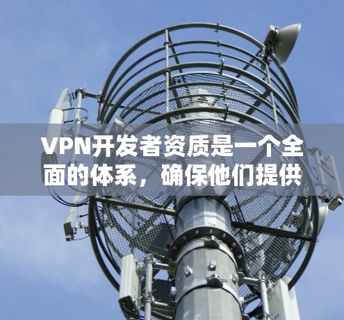 VPN开发者资质是一个全面的体系，确保他们提供安全、合法、专业的服务。以下是对 VPN 开发者资质的详细分析