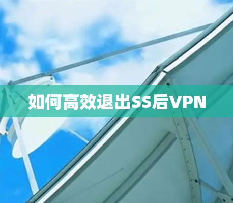 如何高效退出SS后VPN