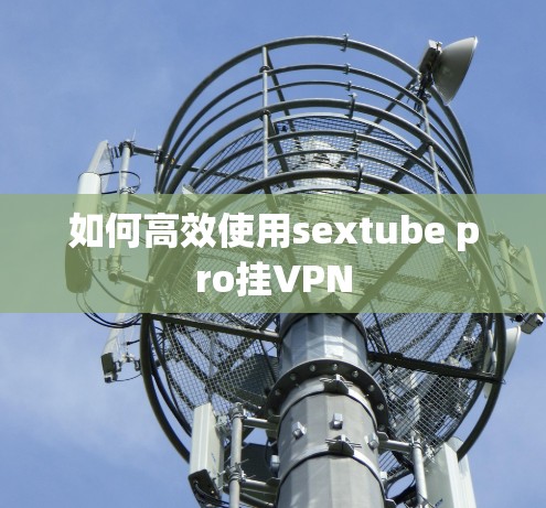如何高效使用sextube pro挂VPN