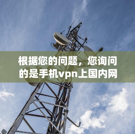 根据您的问题，您询问的是手机vpn上国内网所指的含义。经过分析，这个说法可能有误，或为误解。以下是详细的解释