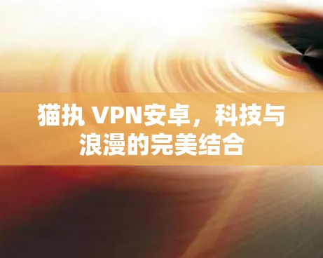 猫执 VPN安卓,科技与浪漫的完美结合