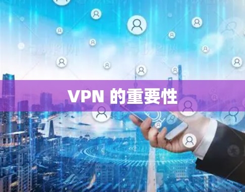 VPN 的重要性