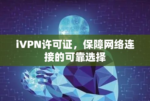 iVPN许可证，保障网络连接的可靠选择