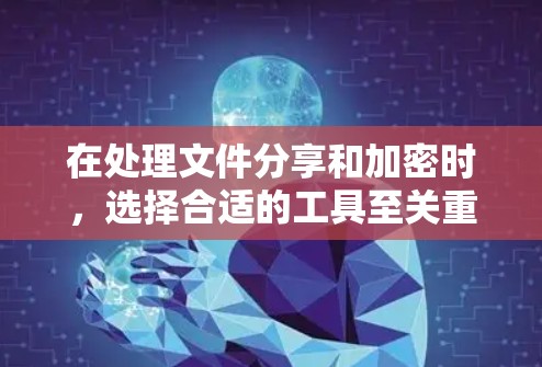 在处理文件分享和加密时，选择合适的工具至关重要。以下是对SSR免流和VPN的详细分析和建议