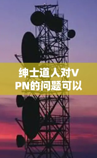 绅士道人对VPN的问题可以从以下几个方面进行分析和解答