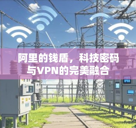 阿里的钱盾，科技密码与VPN的完美融合