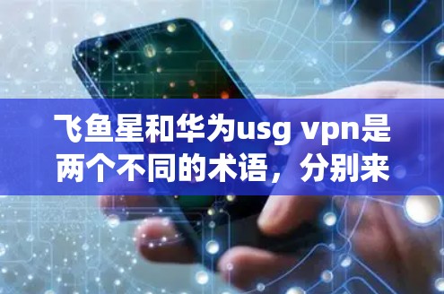 飞鱼星和华为usg vpn是两个不同的术语，分别来自不同的领域，因此它们的解释和用途也有所不同