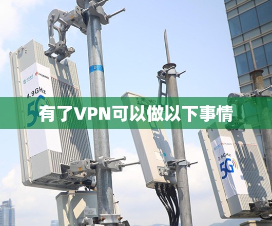 有了VPN可以做以下事情