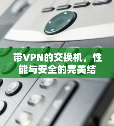 带VPN的交换机，性能与安全的完美结合