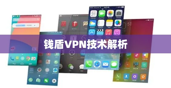 钱盾VPN技术解析