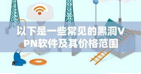 以下是一些常见的黑洞VPN软件及其价格范围