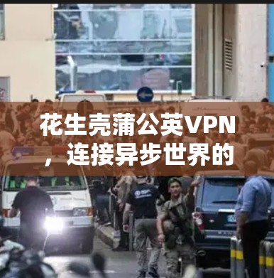 花生壳蒲公英VPN，连接异步世界的高效通信工具