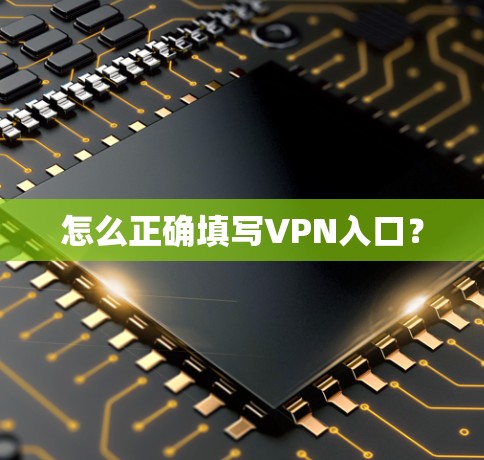 怎么正确填写VPN入口？