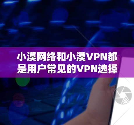 小漠网络和小漠VPN都是用户常见的VPN选择，各有其独特的优势和特点，适合不同的使用场景。以下是对这两种服务的详细介绍