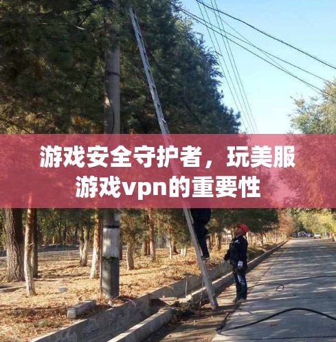 游戏安全守护者，玩美服游戏vpn的重要性
