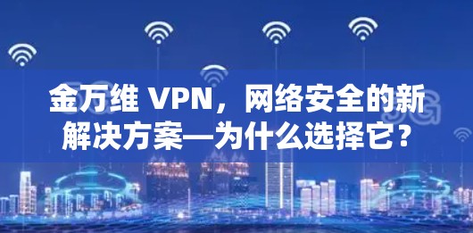 金万维 VPN，网络安全的新解决方案—为什么选择它？