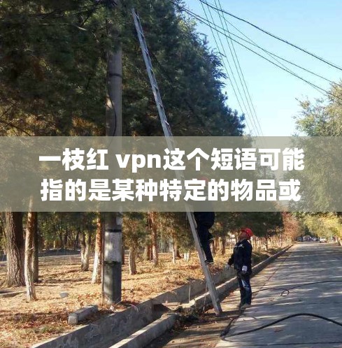 一枝红 vpn这个短语可能指的是某种特定的物品或品牌的产品。由于红 vpn这个词的含义不明确，我需要更多的上下文来准确理解其含义。以下是一些可能的解释和建议
