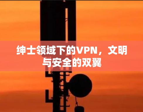 绅士领域下的VPN，文明与安全的双翼