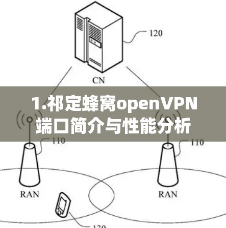 1.祁定蜂窝openVPN端口简介与性能分析