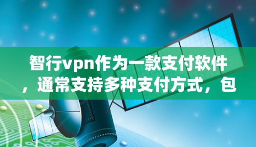 智行vpn作为一款支付软件，通常支持多种支付方式，包括支付宝、微信支付、PayPal等。以下是常见的支付方式和流程