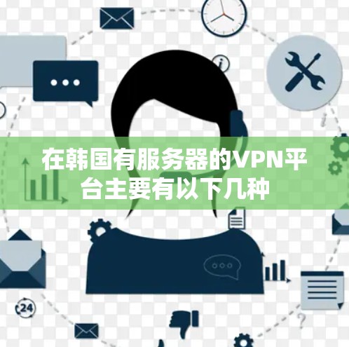 在韩国有服务器的VPN平台主要有以下几种
