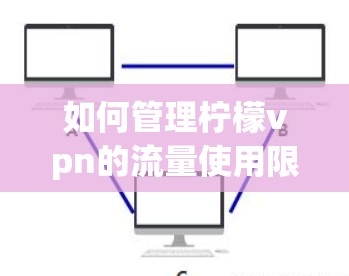 如何管理柠檬vpn的流量使用限制