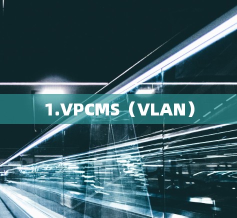 1.VPCMS（VLAN）