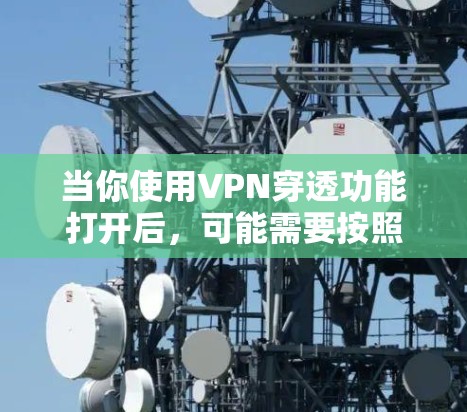 当你使用VPN穿透功能打开后，可能需要按照以下步骤进行操作