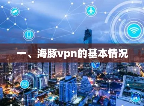 一、海豚vpn的基本情况