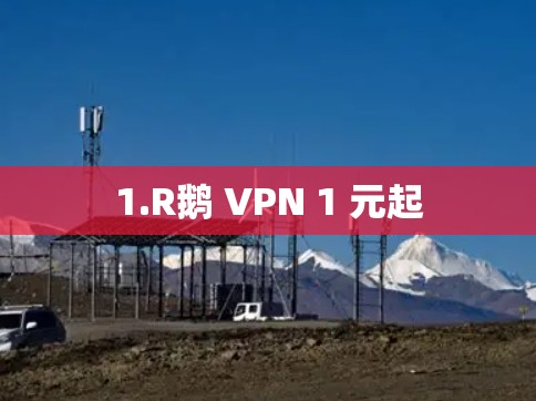 1.R鹅 VPN 1 元起