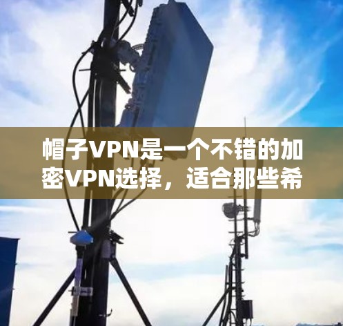 帽子VPN是一个不错的加密VPN选择，适合那些希望在安全性和加密性上要求较高的用户。以下是对帽子VPN的详细介绍
