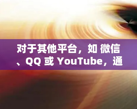 对于其他平台,如 微信、QQ 或 YouTube,通常这些平台不提供VPN接口,因此需要额外配置或使用VPN软件来访问
