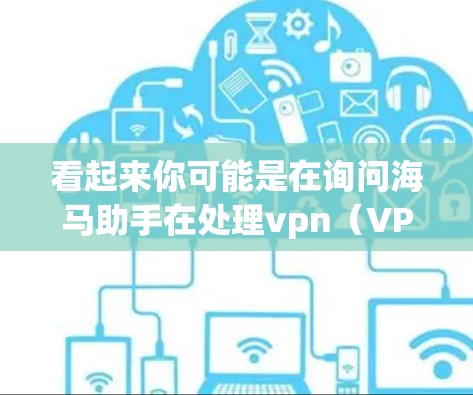 看起来你可能是在询问海马助手在处理vpn（VPN）时的作用或使用方法。以下是一些可能的解释
