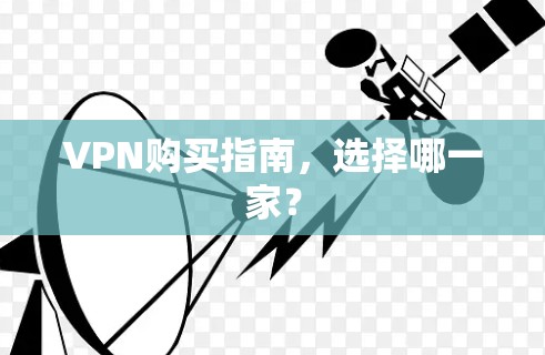 VPN购买指南,选择哪一家?