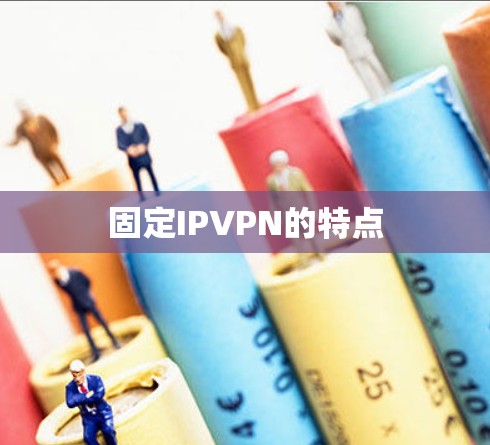 固定IPVPN的特点