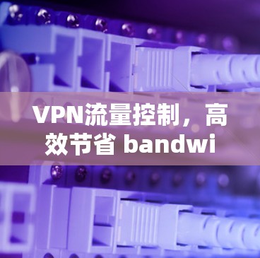 VPN流量控制，高效节省 bandwidth的必选选项