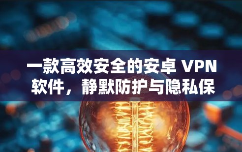 一款高效安全的安卓 VPN 软件，静默防护与隐私保护