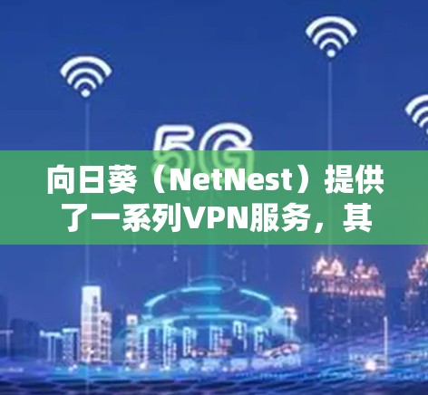 向日葵（NetNest）提供了一系列VPN服务，其中包括多种平台支持和不同的功能选项。以下是向日葵的主要VPN服务