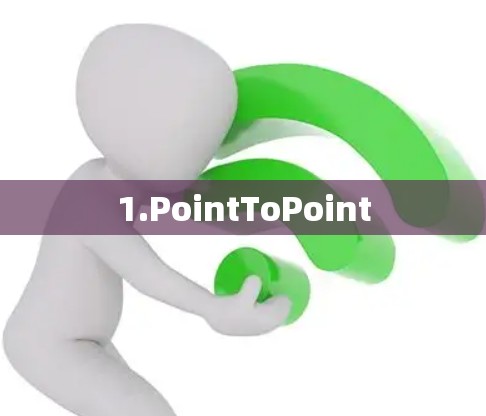 1.PointToPoint
